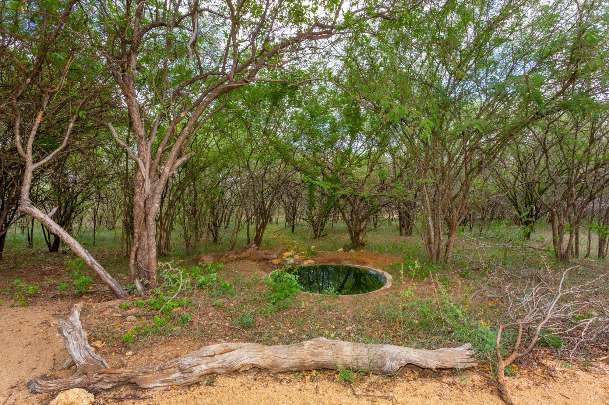 The Bush House Villa Hoedspruit Luaran gambar